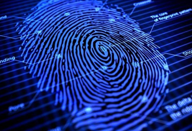 formacion-en-ciberseguridad Rony